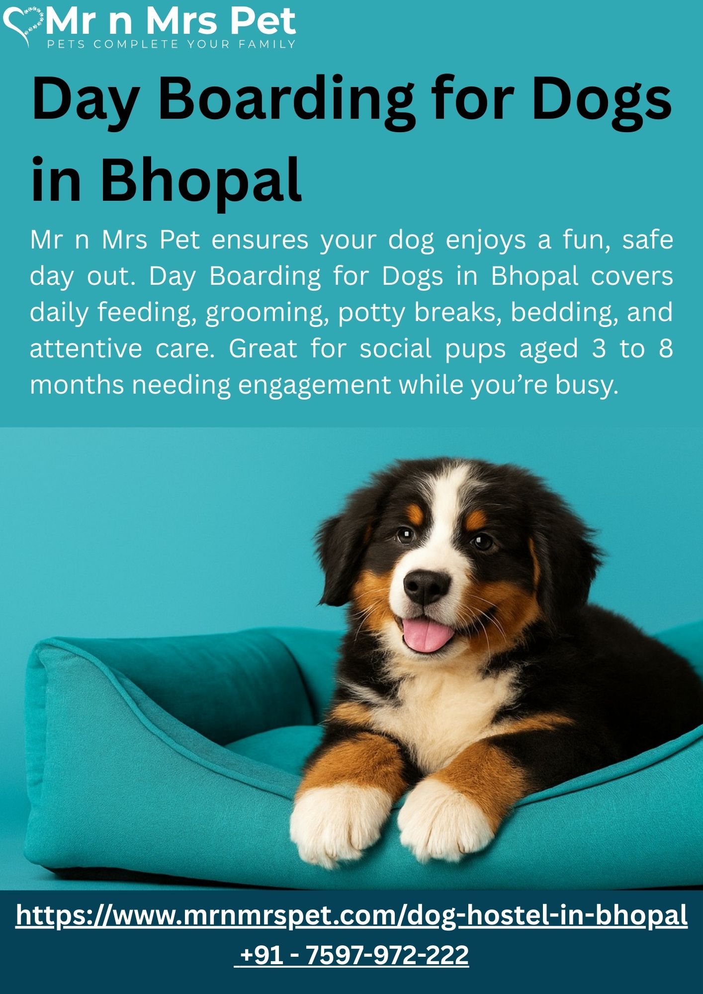 Day Boarding for Dogs in Bhopal